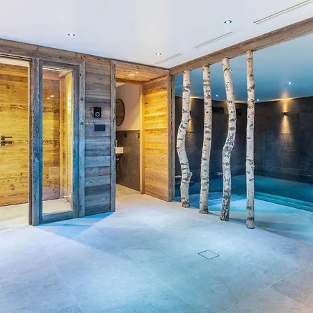 De Luxe Avec Piscine, Sauna, Hammam, Cinema Et Salle De Jeu - Fr-1-694-3 Chalet *
